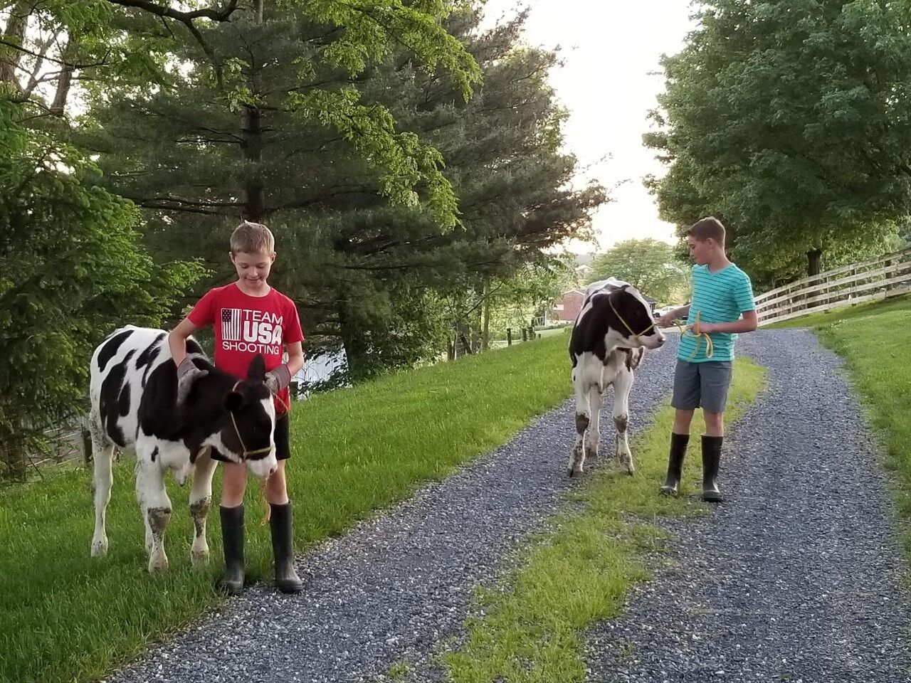 Potts brothers show livestock